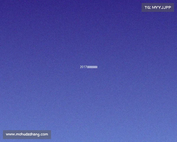 2017全国冰球锦标赛